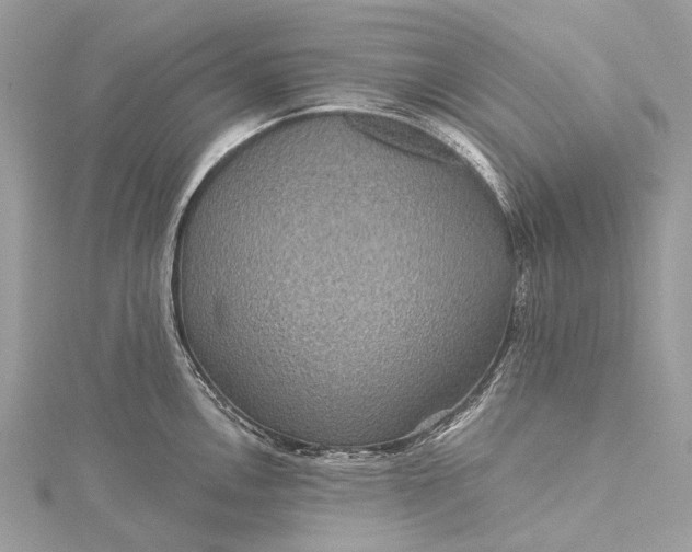 X0000115531146200911201714