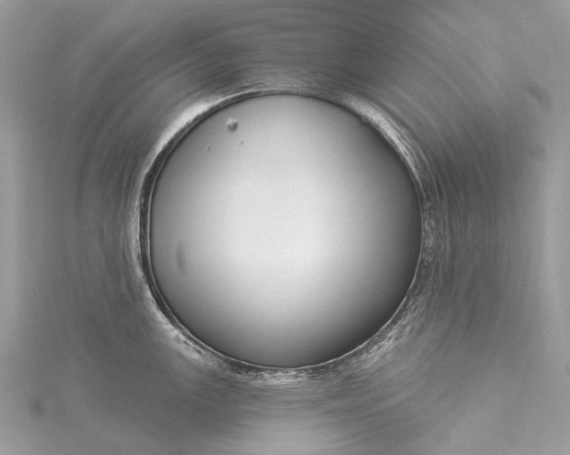 X0000115531147200911201714