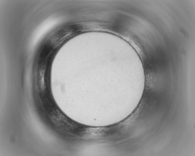 X0000115531150200911201714