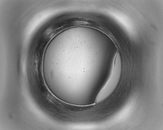 X0000115531151200911201714