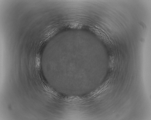 X0000115531154200911201714