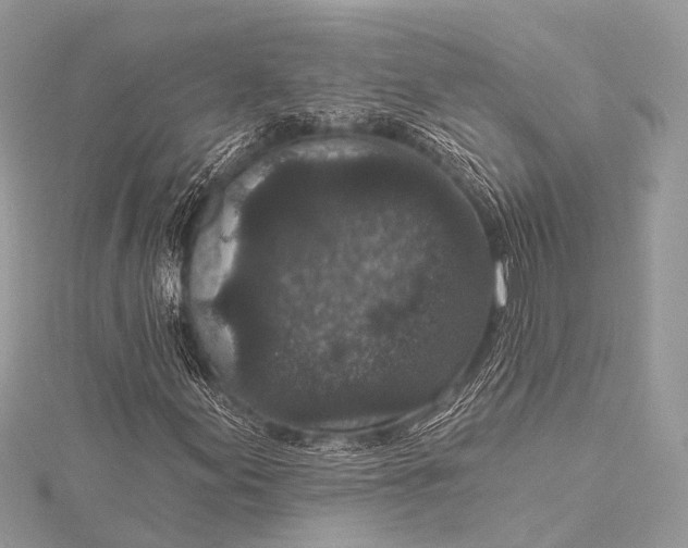 X0000115531155200911201714