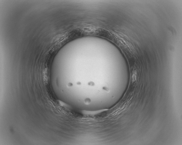 X0000115531156200911201714