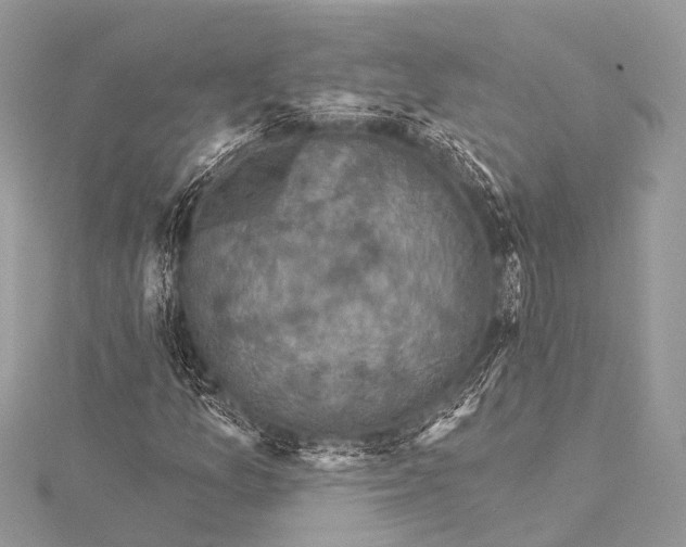 X0000115531157200911201714