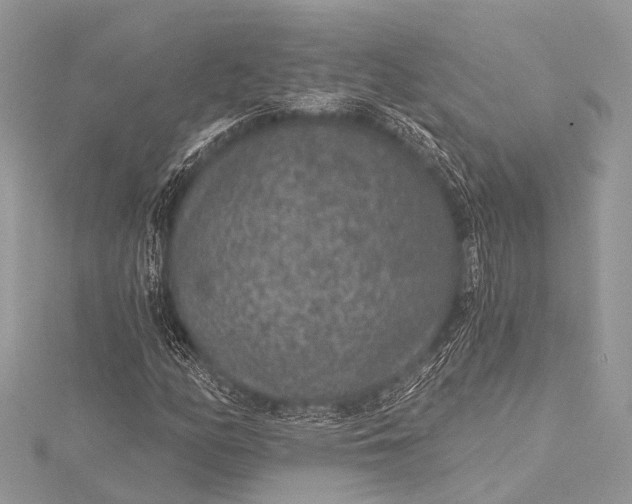 X0000115531158200911201714