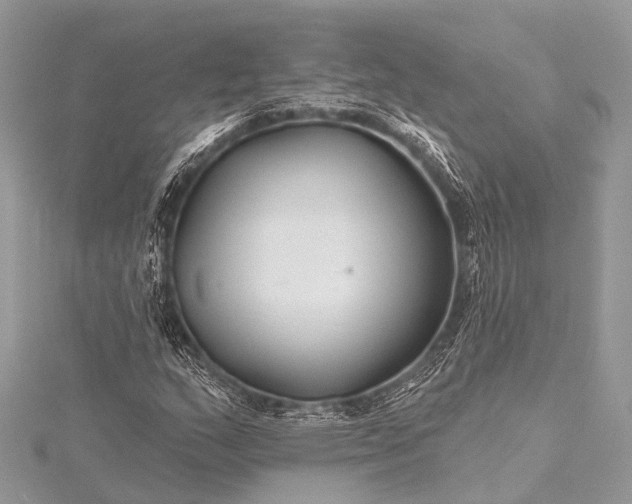 X0000115531159200911201714