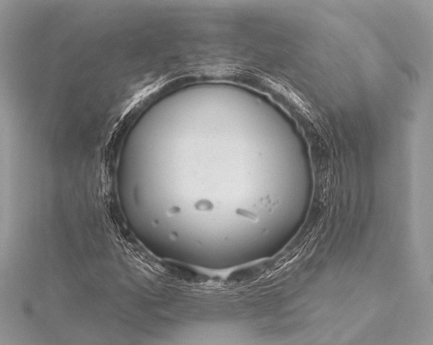 X0000115531160200911201714