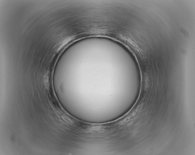 X0000115531162200911201714