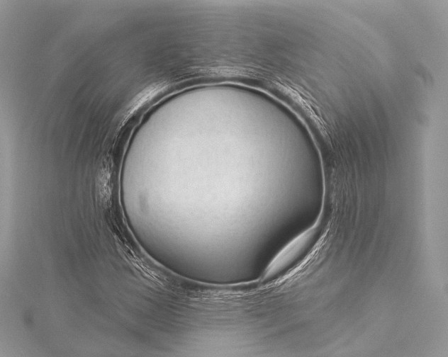 X0000115531163200911201714