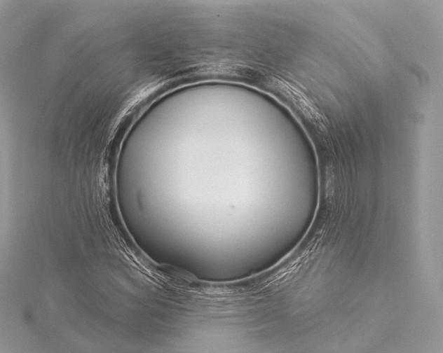 X0000115531164200911201714