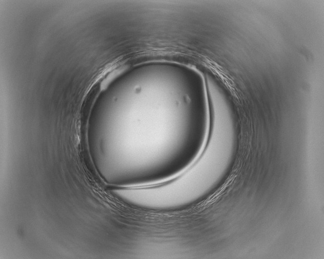 X0000115531165200911201714