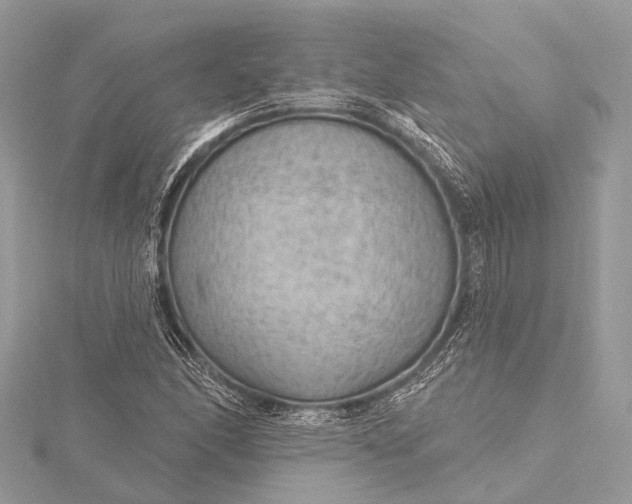 X0000115531166200911201714