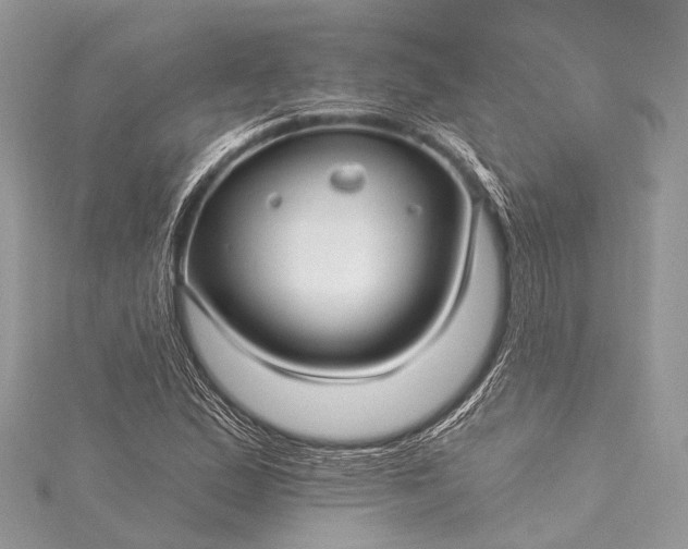 X0000115531167200911201714