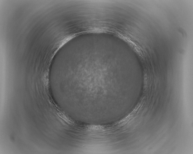 X0000115531170200911201713