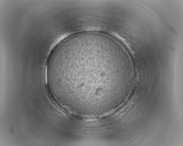 X0000115531171200911201713