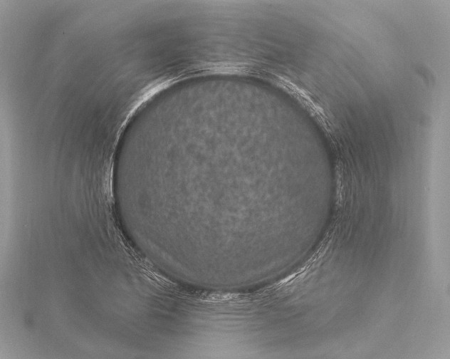 X0000115531174200911201713