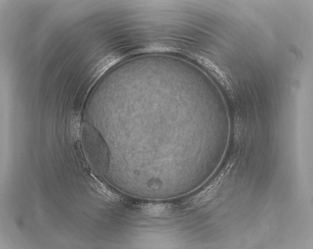 X0000115531177200911201713