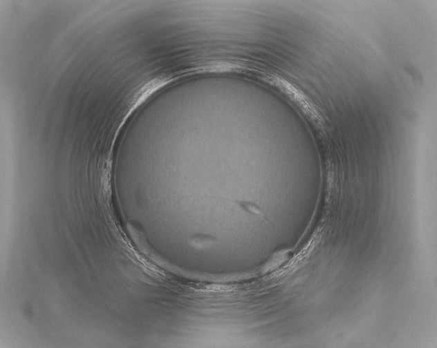 X0000115531178200911201713