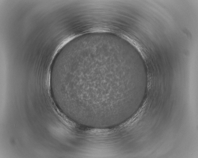 X0000115531179200911201713