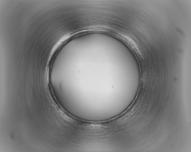 X0000115531180200911201713