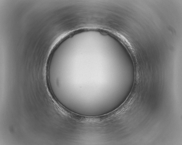 X0000115531183200911201713