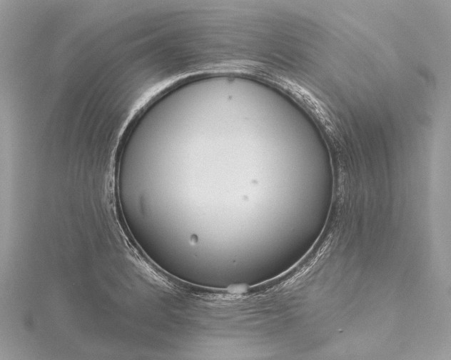 X0000115531184200911201713