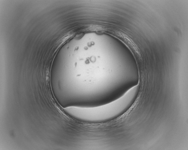 X0000115531185200911201713