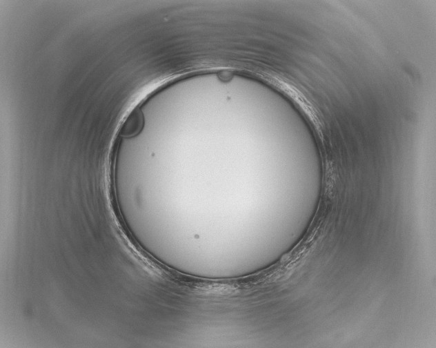 X0000115531187200911201713