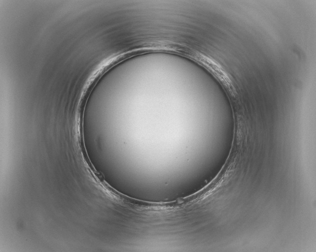 X0000115531188200911201713