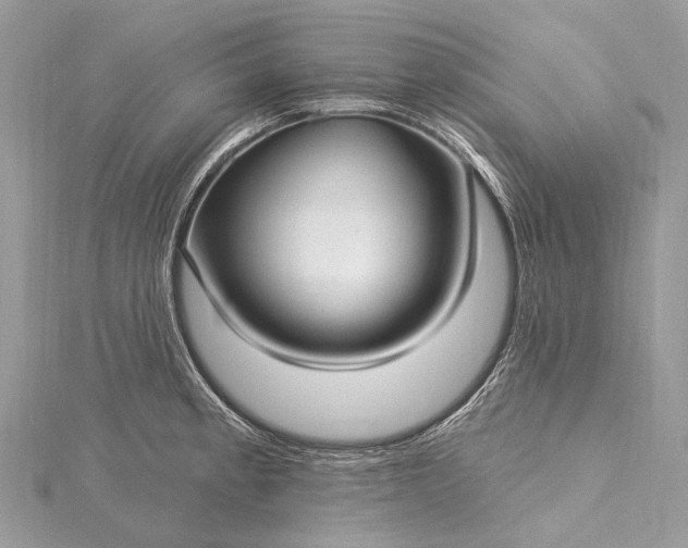 X0000115531189200911201713