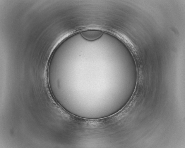 X0000115531190200911201713