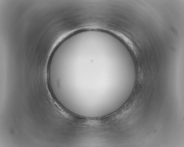 X0000115531191200911201713