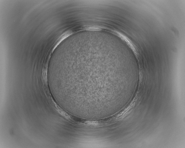 X0000115531194200911201713