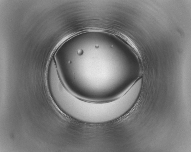 X0000115531195200911201713