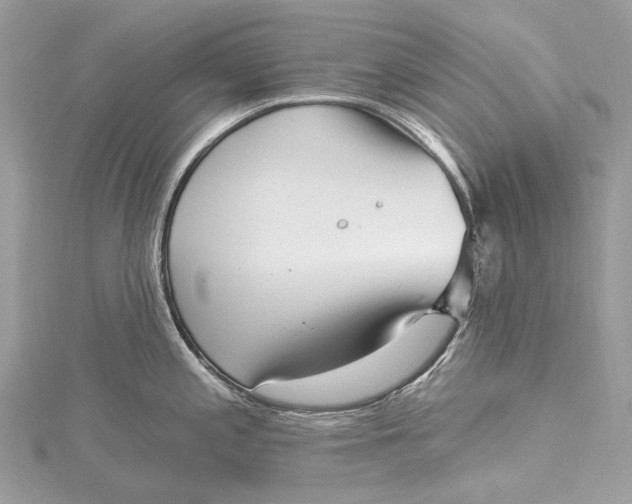 X0000115531197200911201713