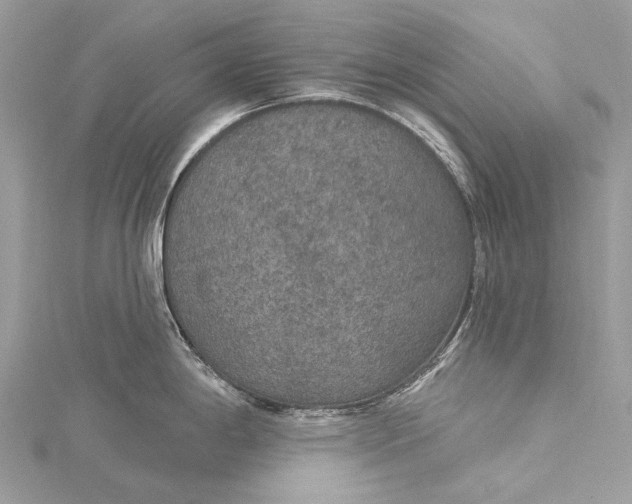 X0000115531198200911201713