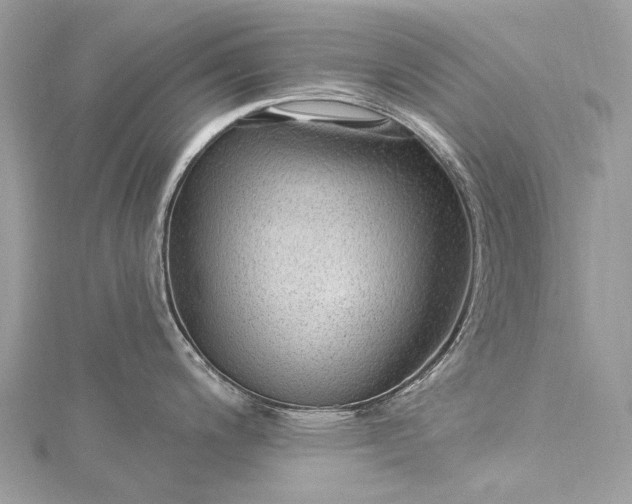 X0000115531200200911201713