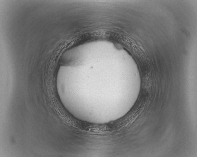 X0000115531201200911201712