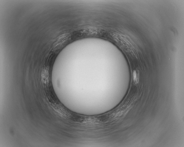 X0000115531203200911201712