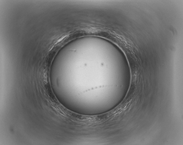 X0000115531205200911201712