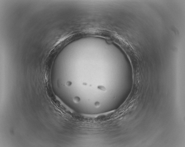 X0000115531206200911201712