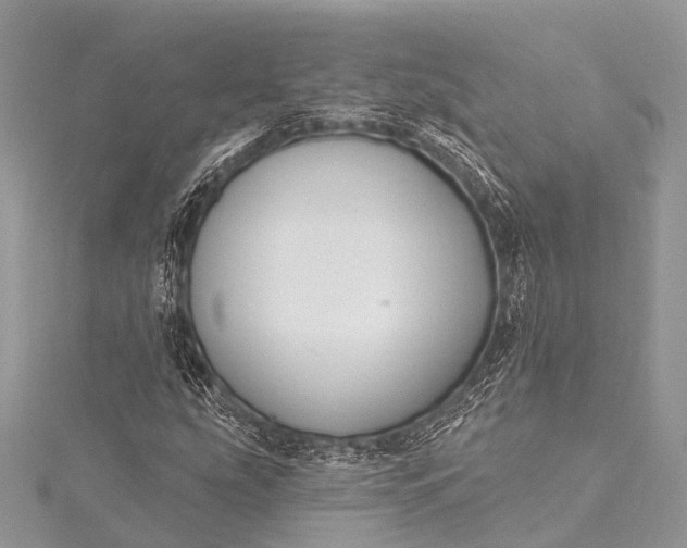 X0000115531207200911201712