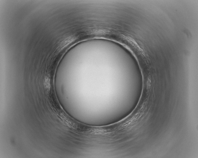 X0000115531209200911201712