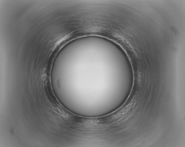 X0000115531210200911201712