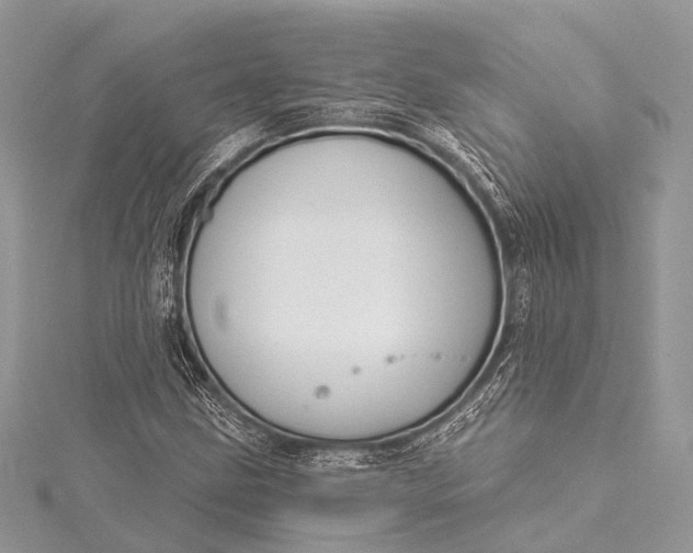 X0000115531211200911201712