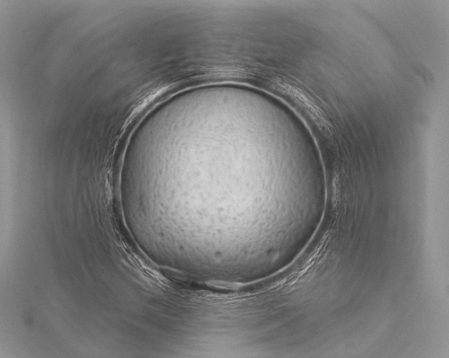 X0000115531212200911201712