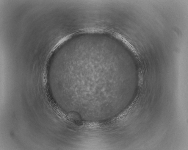 X0000115531213200911201712