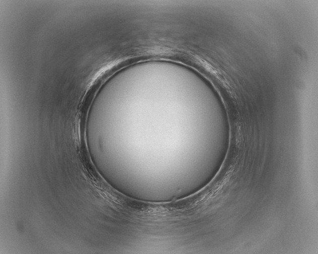 X0000115531214200911201712