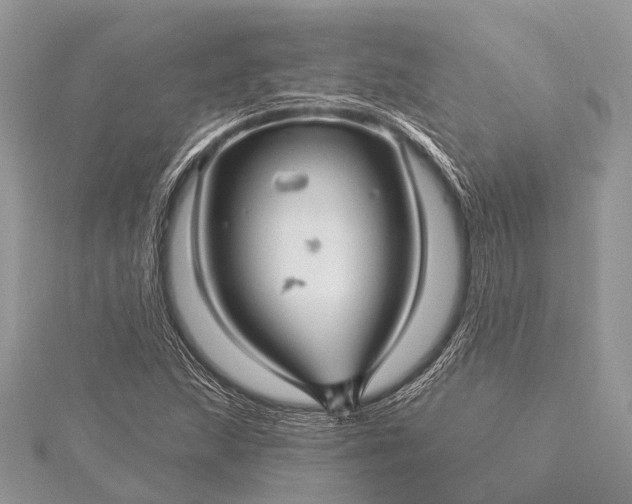 X0000115531215200911201712