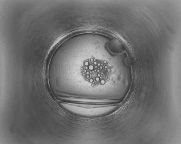 X0000115531216200911201712